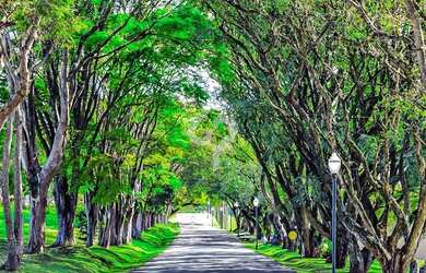 Imagem 7: Lote próximo a quadra poliesportiva à venda na Fazenda Serrazul I