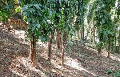 Imagem: O terreno possui 252m² de Área e está localizado em Chácara