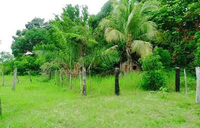 Imagem 11: Sítio para venda na Jangada Roncador