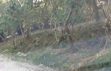 Imagem 9: Terreno na Siriúba com 1.200m² em Ilhabela