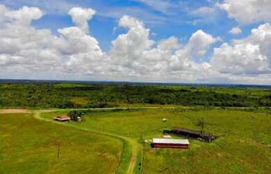 Imagem 14: 100 alqueires por R$6 milhões no Pará no asfalto