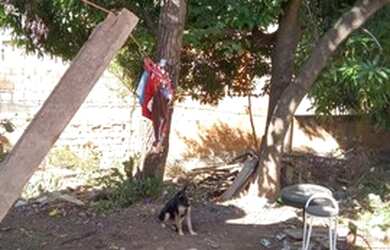 Imagem 4: zap vende se meio lote. 170m² de Área