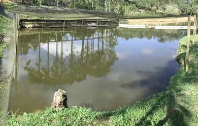 Imagem 6: Sítio com lagos. 92.000m² de Área