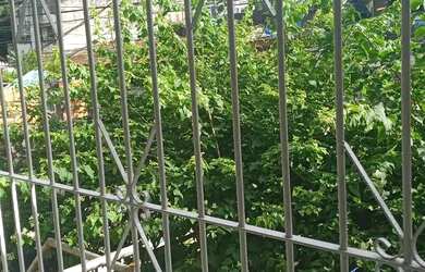 Imagem 6: Aluguel CASA EM ICOARACI. 70m² de Área, 1 Vaga na garageme2 Dormitórios