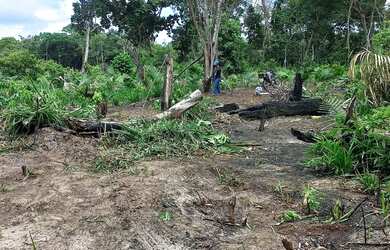 Imagem 4: Terreno no pajuçara. 