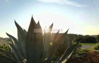 Imagem: O terreno possui 591m² de Área e está localizado em Parque