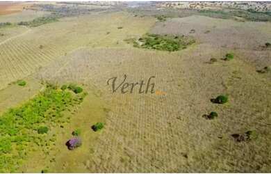 Imagem 5: Fazenda em Unaí - Minas Gerais, à venda com 537ha - Dupla Aptidão