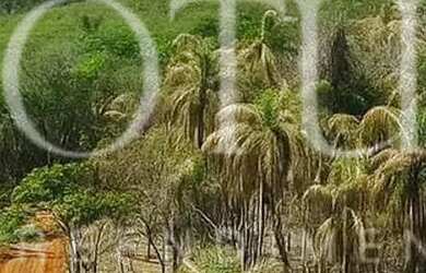 Imagem: O terreno possui 600m² de Área e está localizado em Centro