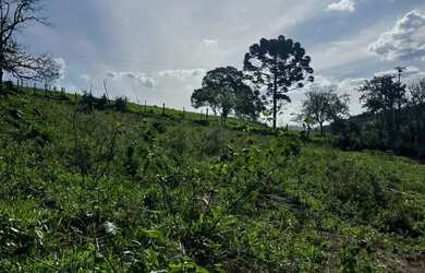 Imagem: O terreno possui 2.000m² de Área e está localizado em Nazaré