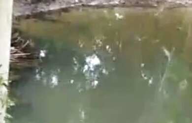 Imagem: A chácara possui 14.000m² de Área e está localizado em