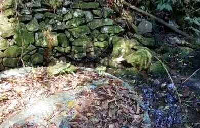 Imagem 11: Área de terra bairro Linha Olinda, Nova Petropólis.RS REF 246