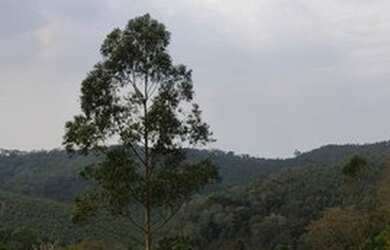 Imagem 13: H35 Vendo Chácara em Nazaré Paulista com Lago no fundo