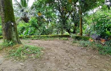 Imagem 12: Terreno a 60 Passos da Areia da Praia Grande em Ilhabela