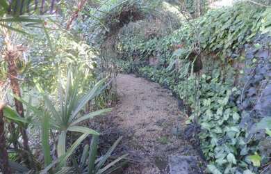 Imagem 13: MANSÃO COM VISTA PARA A MATA - BELÍSSIMA