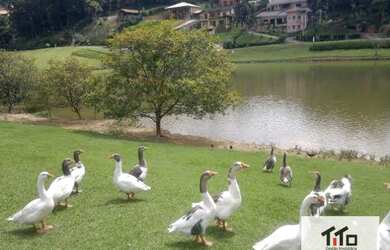 Imagem 5: Terreno à venda, 1271 m² por R$ 188.000,00 - Loteamento Capital Ville...