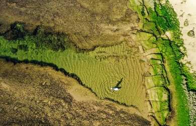 Imagem 10: Terreno 630m² no Piscinas Naturais em Praia do Forte R$ 1.550.000,00