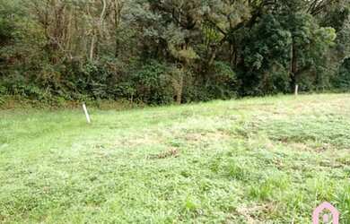 Imagem 9: CAXIAS DO SUL - Terreno Padrão - São Victor COHAB