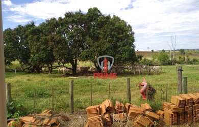Imagem 13: Fazenda à venda 53 Alqueires por R$ 6.890.000 - Sandovalina/São Paulo