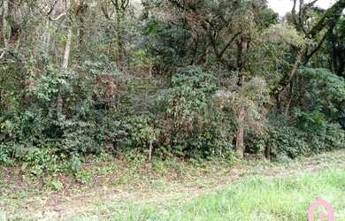 Imagem 3: CAXIAS DO SUL - Terreno Padrão - São Victor COHAB