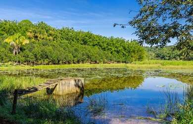 Imagem: A fazenda possui 2.750.000m² de Área e está localizado em