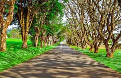 Imagem 8: Lote próximo a quadra poliesportiva à venda na Fazenda Serrazul I