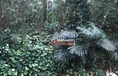 Imagem 2: Terreno à venda, 985 m² por R$ 320.000,00 - Condomínio Arujazinho I,...