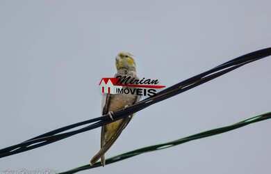 Imagem 2: terreno de esquina 100 metros da praia em Peruibe 250m2 na Mirian Imóveis...