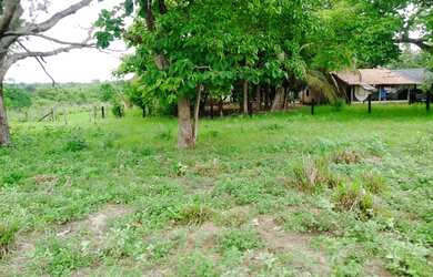 Imagem 6: Sítio para venda na Jangada Roncador