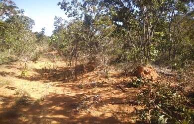 Imagem: O terreno possui 250000m² de Área e está localizado em Centro