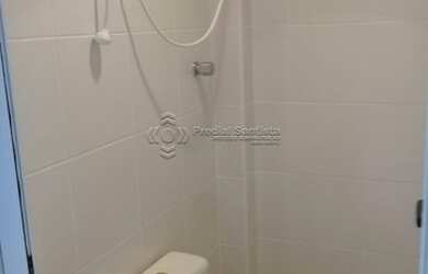 Imagem 3: SANTOS - Padrão - Gonzaga