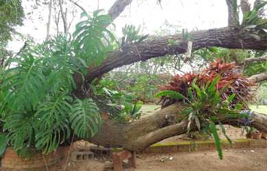 Imagem 8: Terreno à venda, 1902 m² por R$ 570.000,00 - Condomínio Ville de Chamonix...