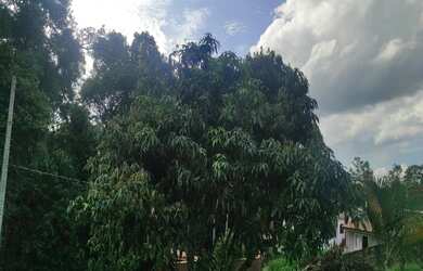 Imagem 4: CHÁCARA COM TERRENO DE 540 m2 NO BAIRRO DO ROSÁRIO EM ATIBAIA