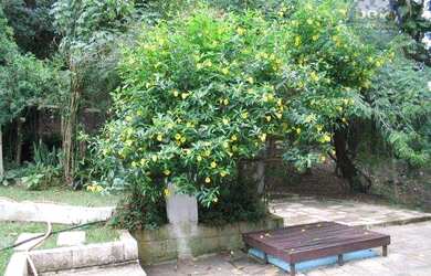 Imagem 6: Chácara à venda, 4000 m² por R$ 580.000,00 - Eldorado - Itu/SP