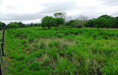 Imagem 13: Sítio para venda na Jangada Roncador