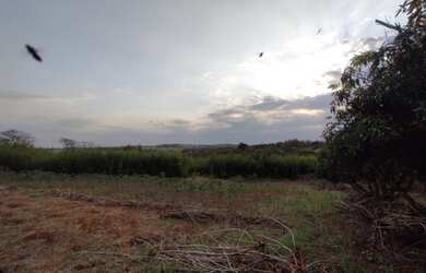 Imagem 12: Arrenda-se sítio em Bernardino De Campos com 7,197492 hectares, ROD....