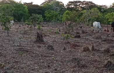Imagem: A fazenda possui 4450000m² de Área e está localizado em Divinópolis