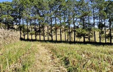Imagem 3: Lote/Terreno para venda possui 500 metros quadrados em Jardim Brasil -...