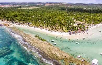 Imagem 3: Vendo belíssimo apartamento na Praia dos Carneiros, mini-resort, lazer...