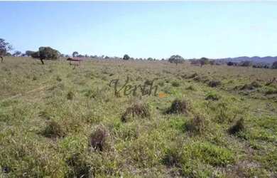 Imagem 9: Fazenda em Unaí - Minas Gerais, à venda com 537ha - Dupla Aptidão