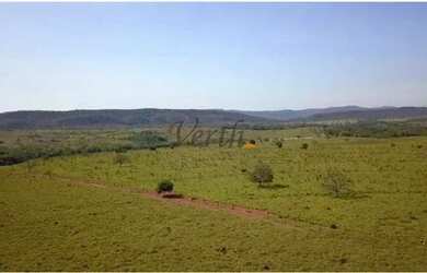 Imagem 7: Fazenda em Unaí - Minas Gerais, à venda com 537ha - Dupla Aptidão