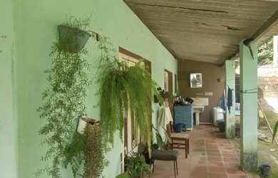 Imagem 2: 1 hectare pisciciultura abandonada 277 mil reais 2 casas