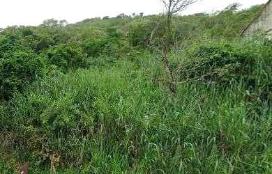 Imagem 2: Terreno 460m² à venda Magalhães Bastos, Rio de Janeiro - R$ 215.000