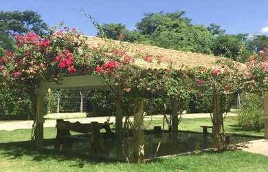 Imagem 3: Morada Do parque Apto 3 Quartos/Suite....234.900.00