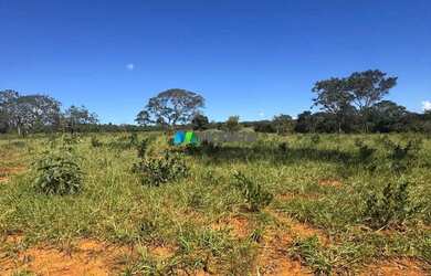 Imagem 10: FAZENDA À VENDA - 100 HECTARES - MORRO DA GARÇA MG