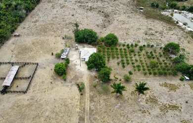 Imagem 9: Vende-se Fazenda - Iracema - RR