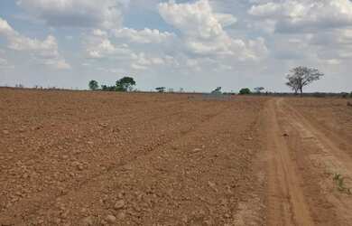 Imagem 14: Fazenda de 625 Hectares de Terras de Cultura e Cerrado Vermelho, Muita...