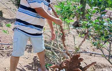 Imagem 4: Super oportunidade pegada ao centro de juquitiba 177 mil reais