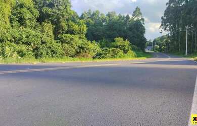 Imagem 11: Sítio / Chácara para Venda em Nova Petrópolis, Canto Ruckert