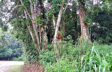 Imagem 3: Terreno à venda, 360 m² - Park Imperial - Caraguatatuba/SP