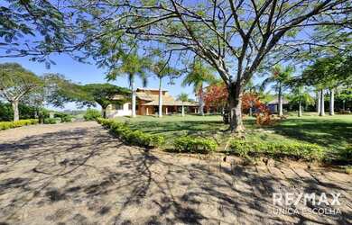 Imagem 8: Chácara para alugar, 6000 m² por R$ 12.000,00/mês - Bom Retiro - Porto...